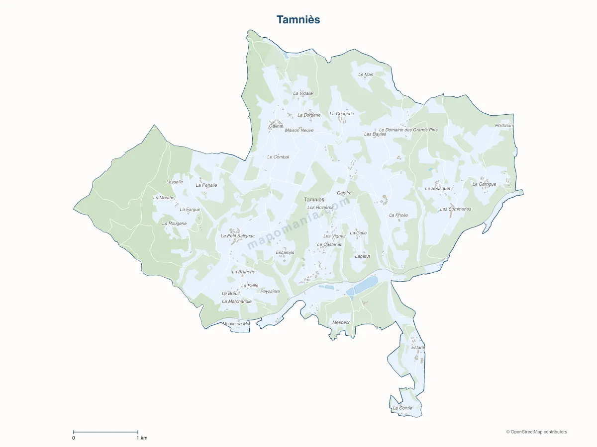 Carte de Tamniès à personnaliser