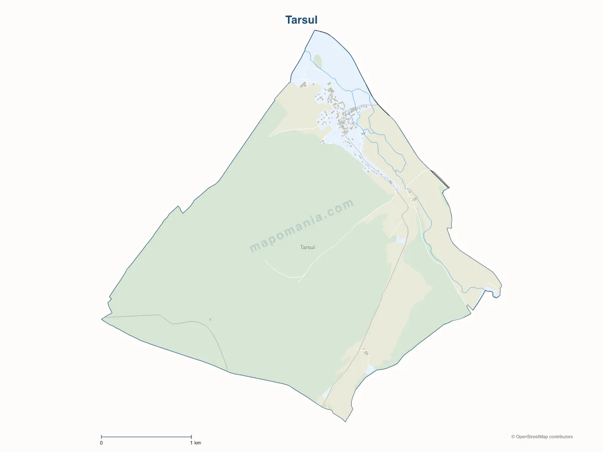 Carte de Tarsul à personnaliser