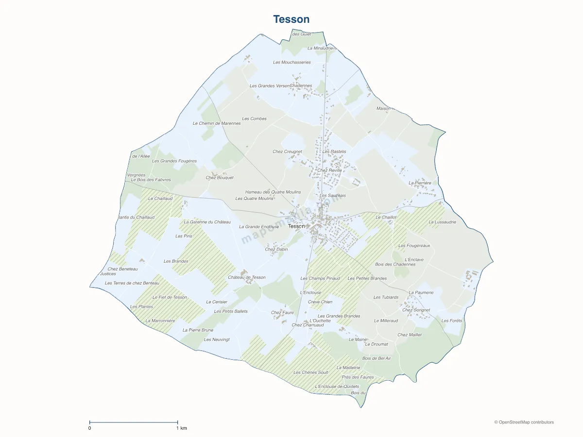 Carte de Tesson à personnaliser