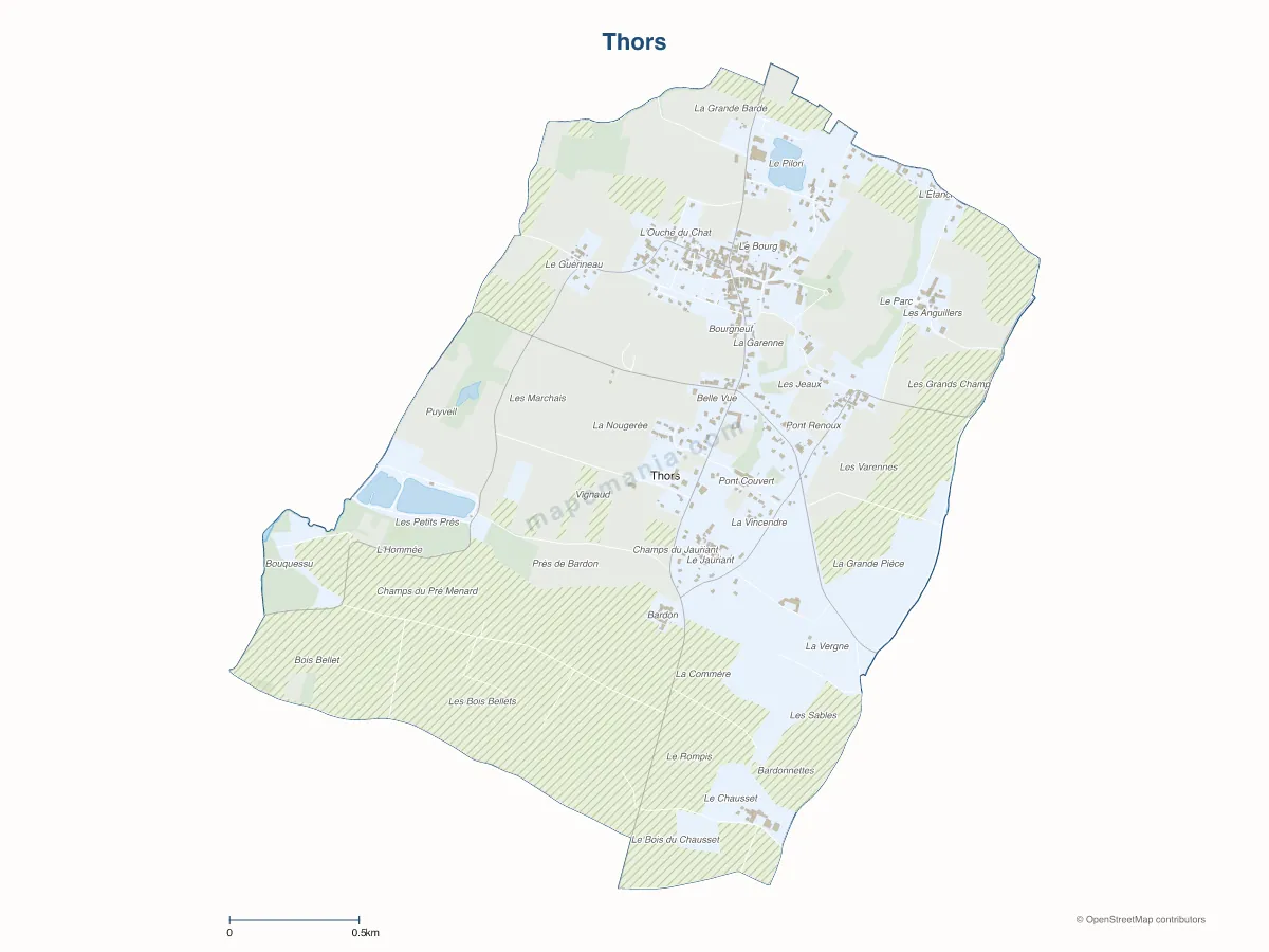 Carte de Thors à personnaliser