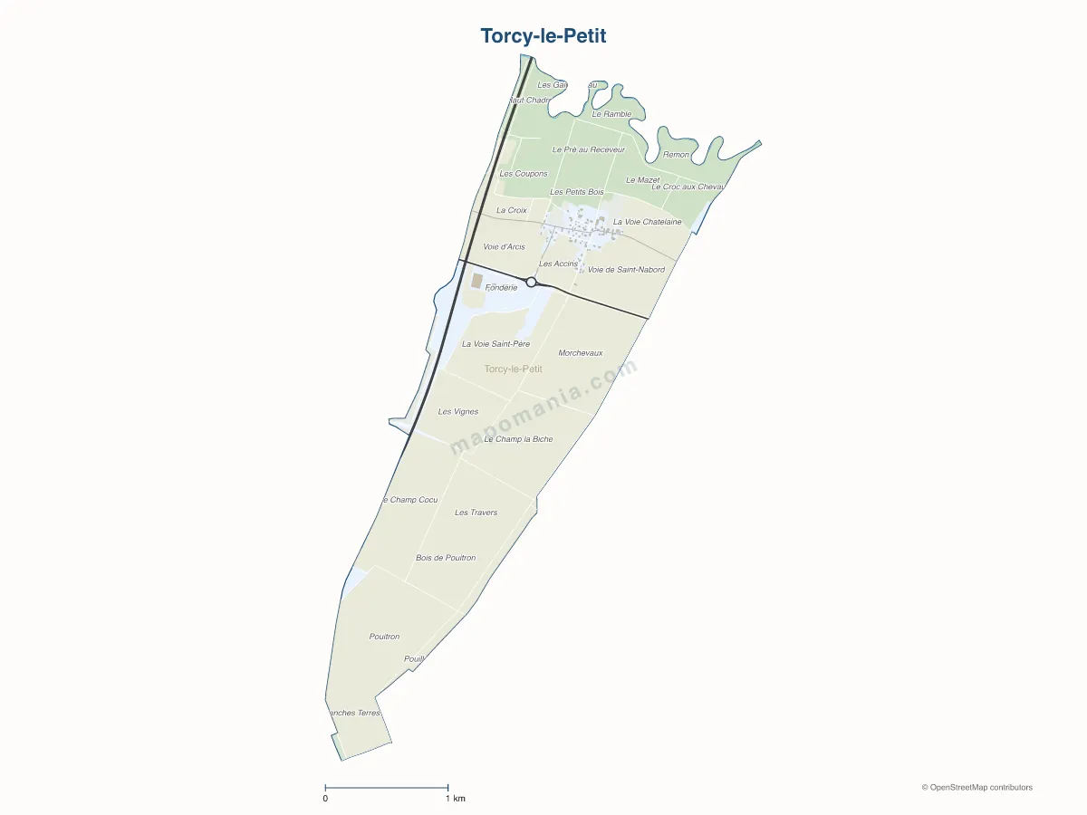 Carte de Torcy-le-Petit à personnaliser