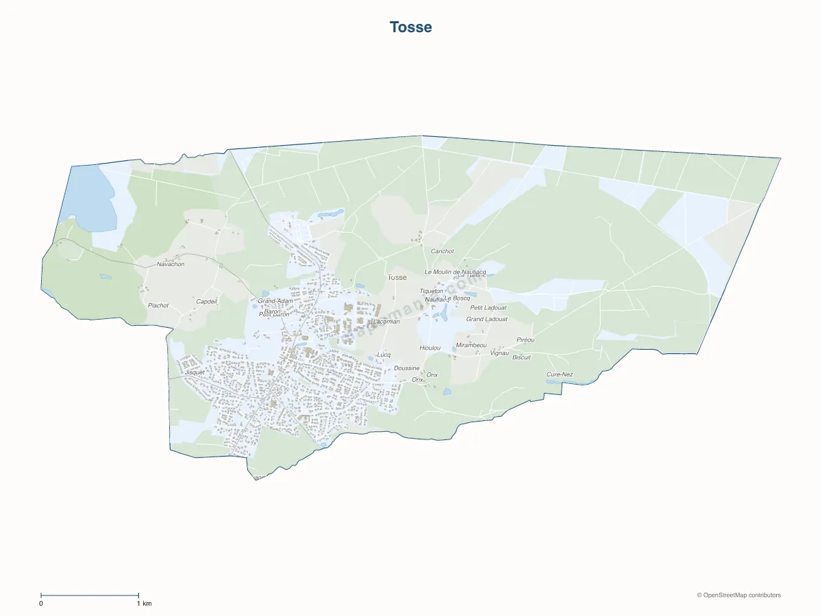 Carte de Tosse à personnaliser