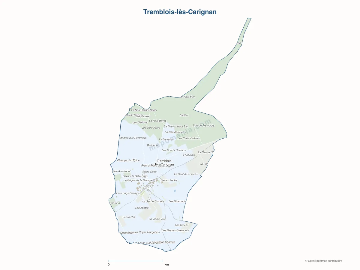 Carte de Tremblois-lès-Carignan à personnaliser