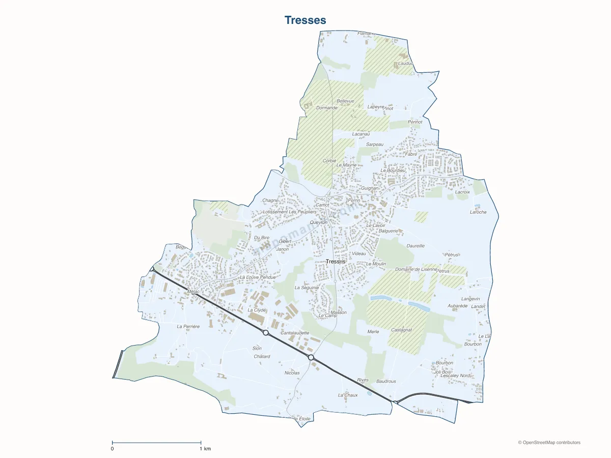 Carte de Tresses à personnaliser