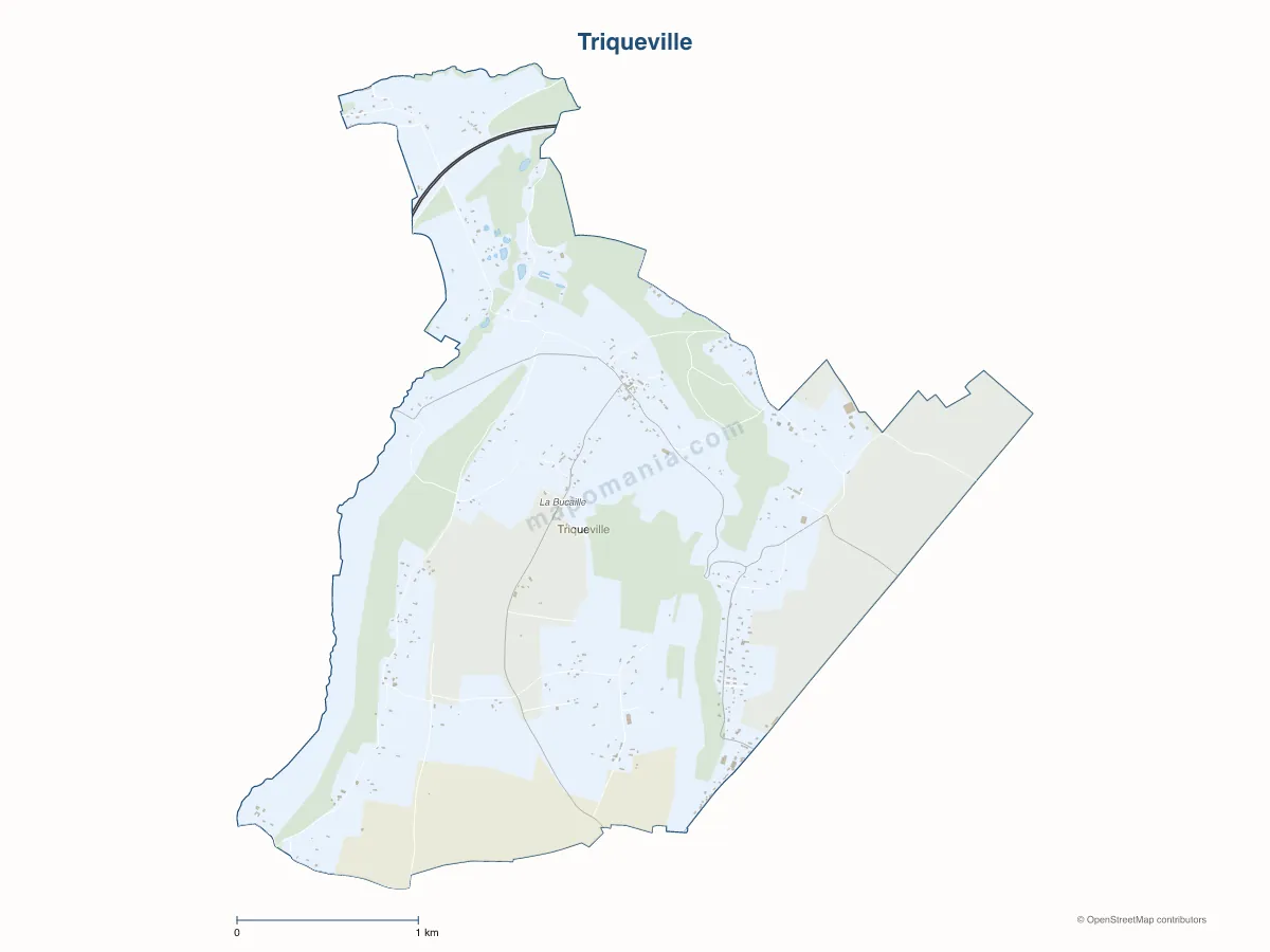 Carte de Triqueville à personnaliser