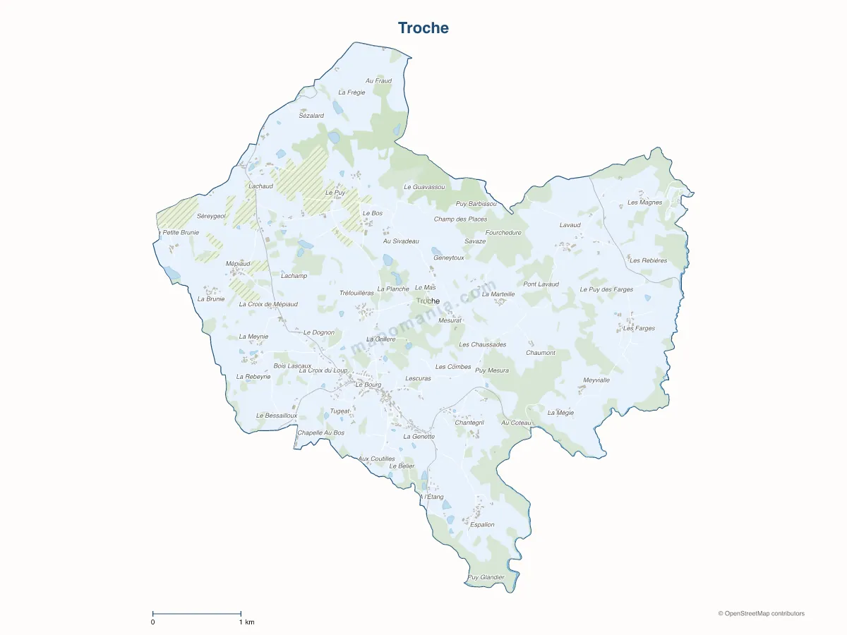 Carte de Troche à personnaliser