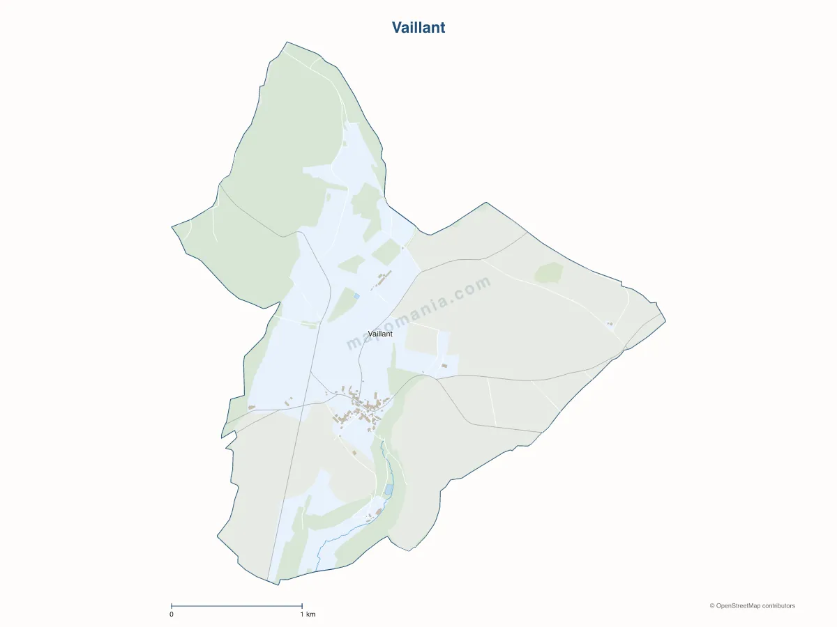 Carte de Vaillant à personnaliser