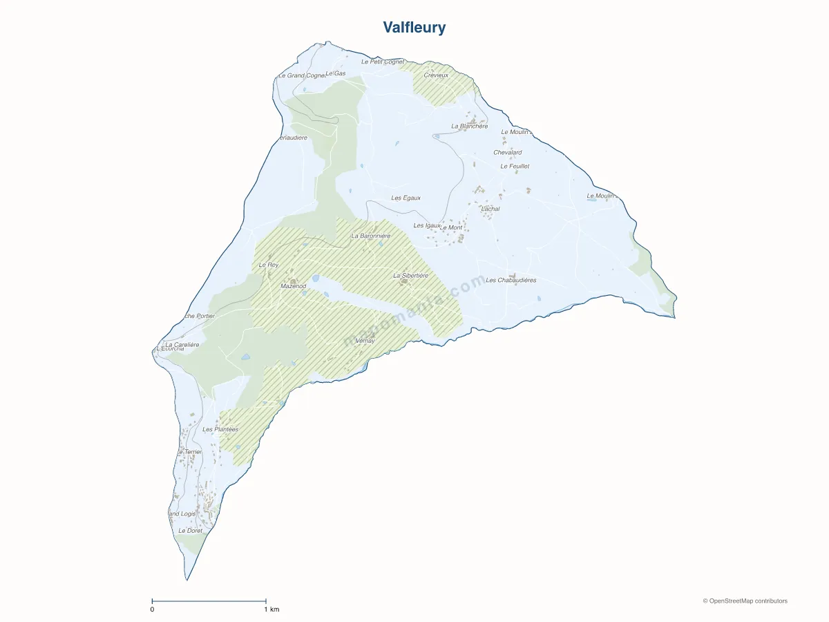 Carte de Valfleury à personnaliser