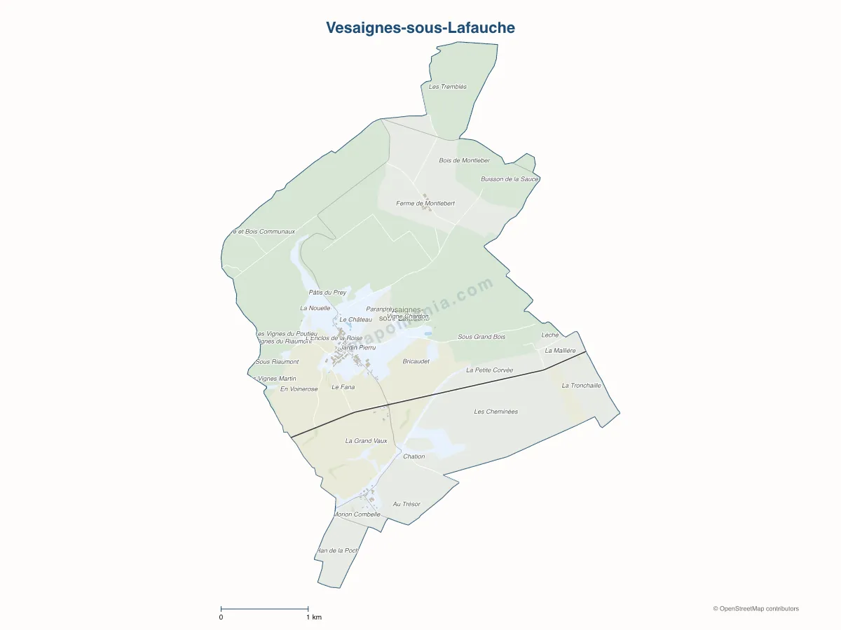 Carte de Vesaignes-sous-Lafauche à personnaliser