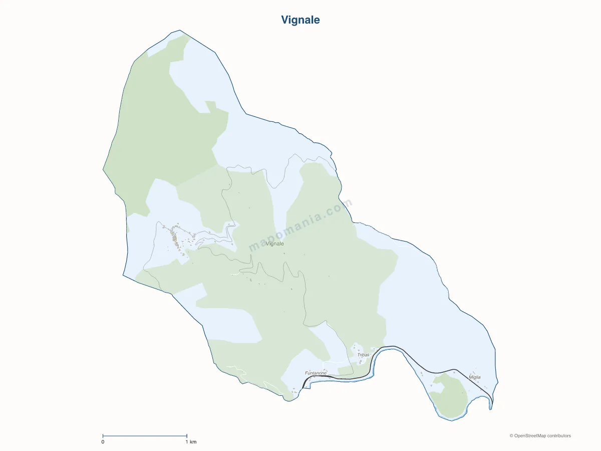 Carte de Vignale à personnaliser