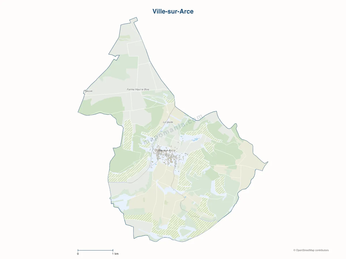 Carte de Ville-sur-Arce à personnaliser