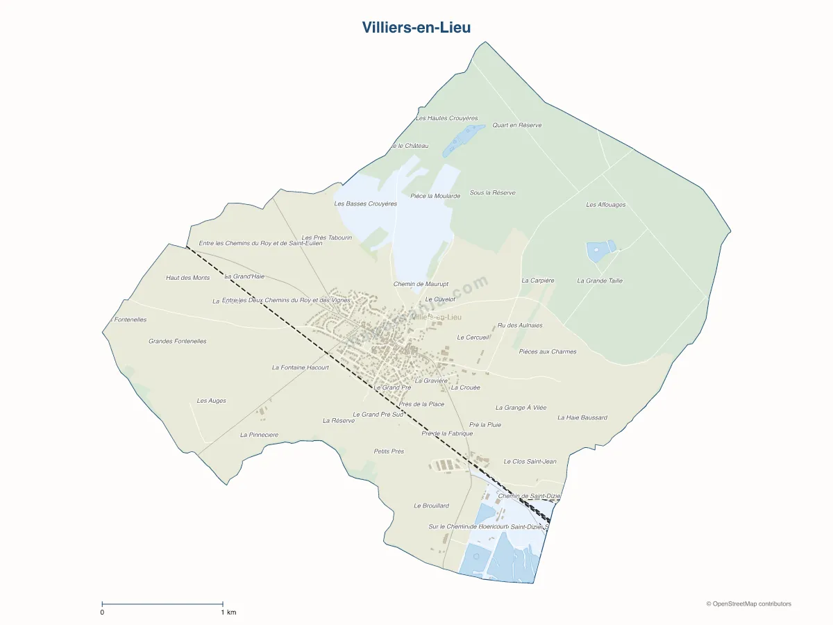 Carte de Villiers-en-Lieu à personnaliser