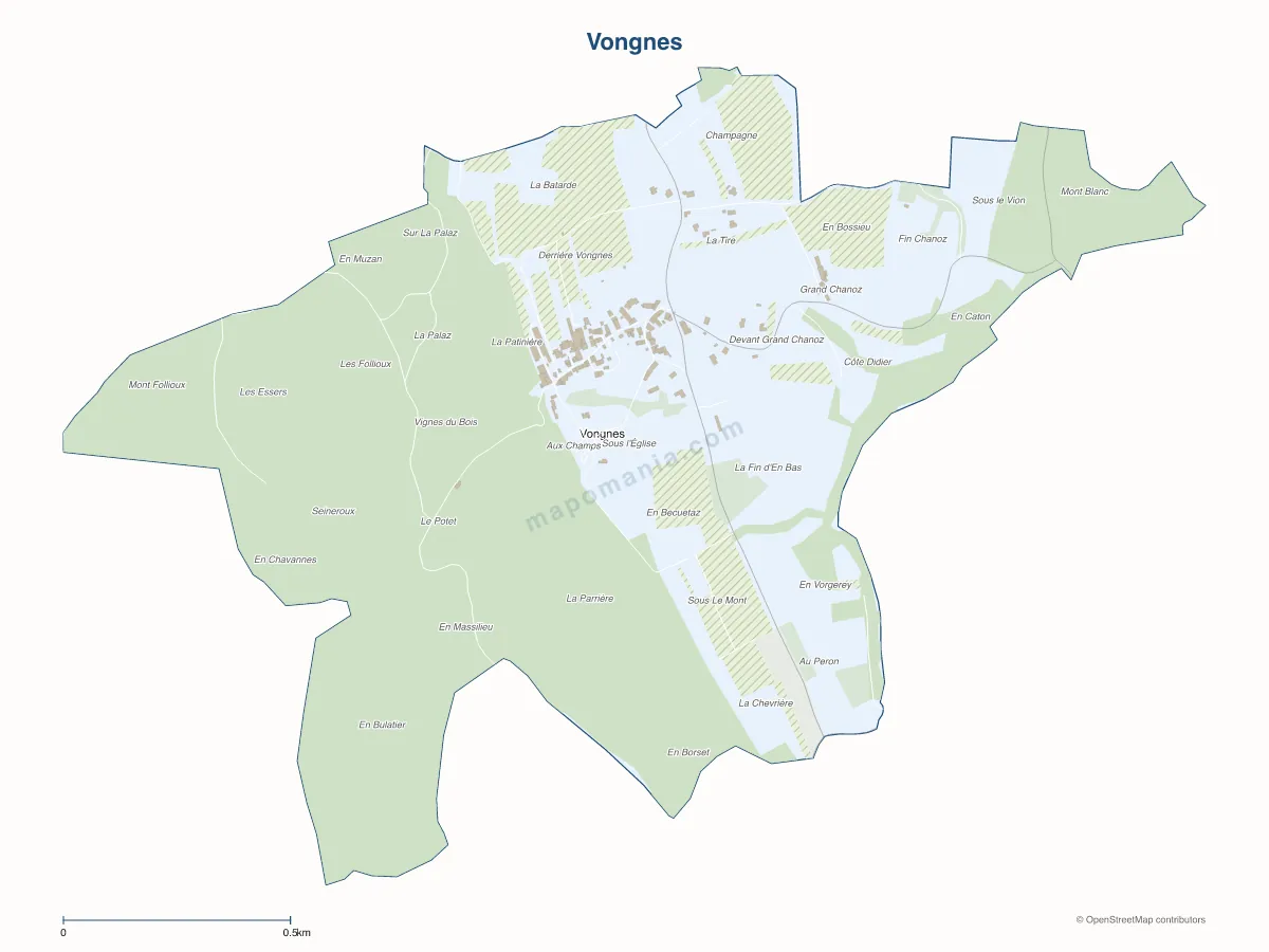 Carte de Vongnes à personnaliser